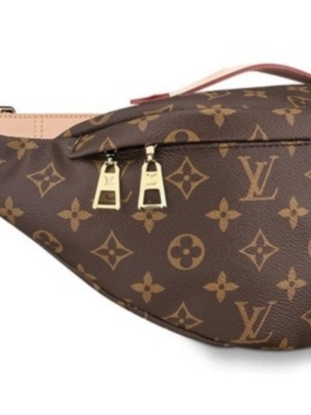 Monogram Crossbody Bumbag - Picture 2 of 7
